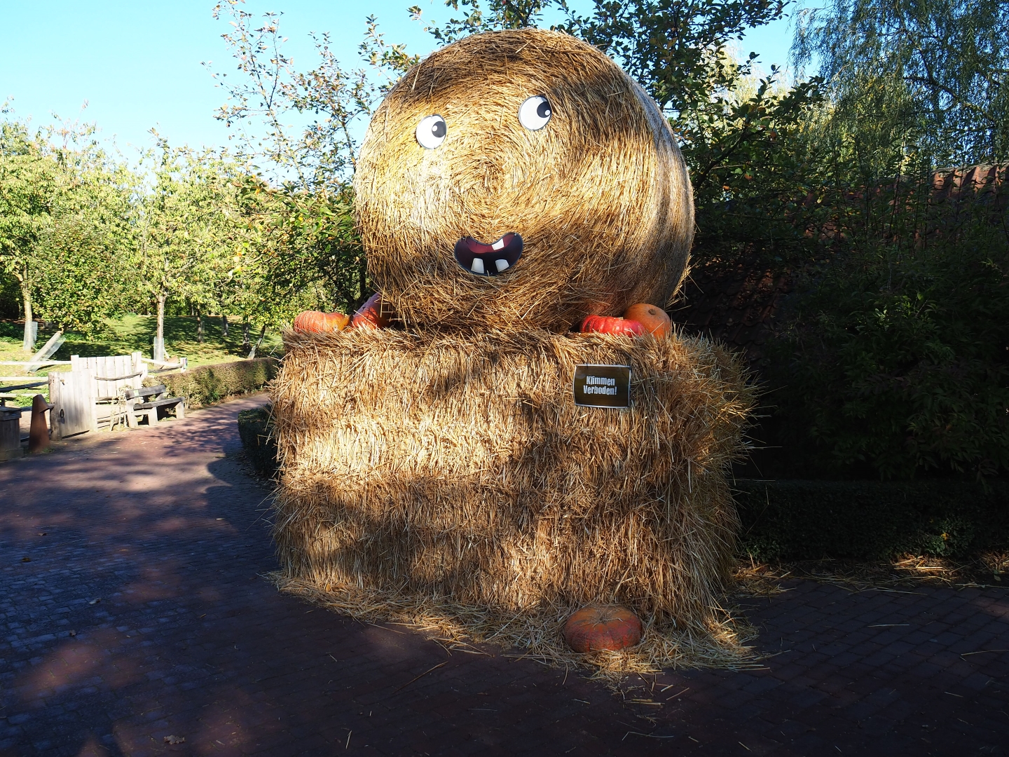 Fall decoration (Oct 13th, 2018)