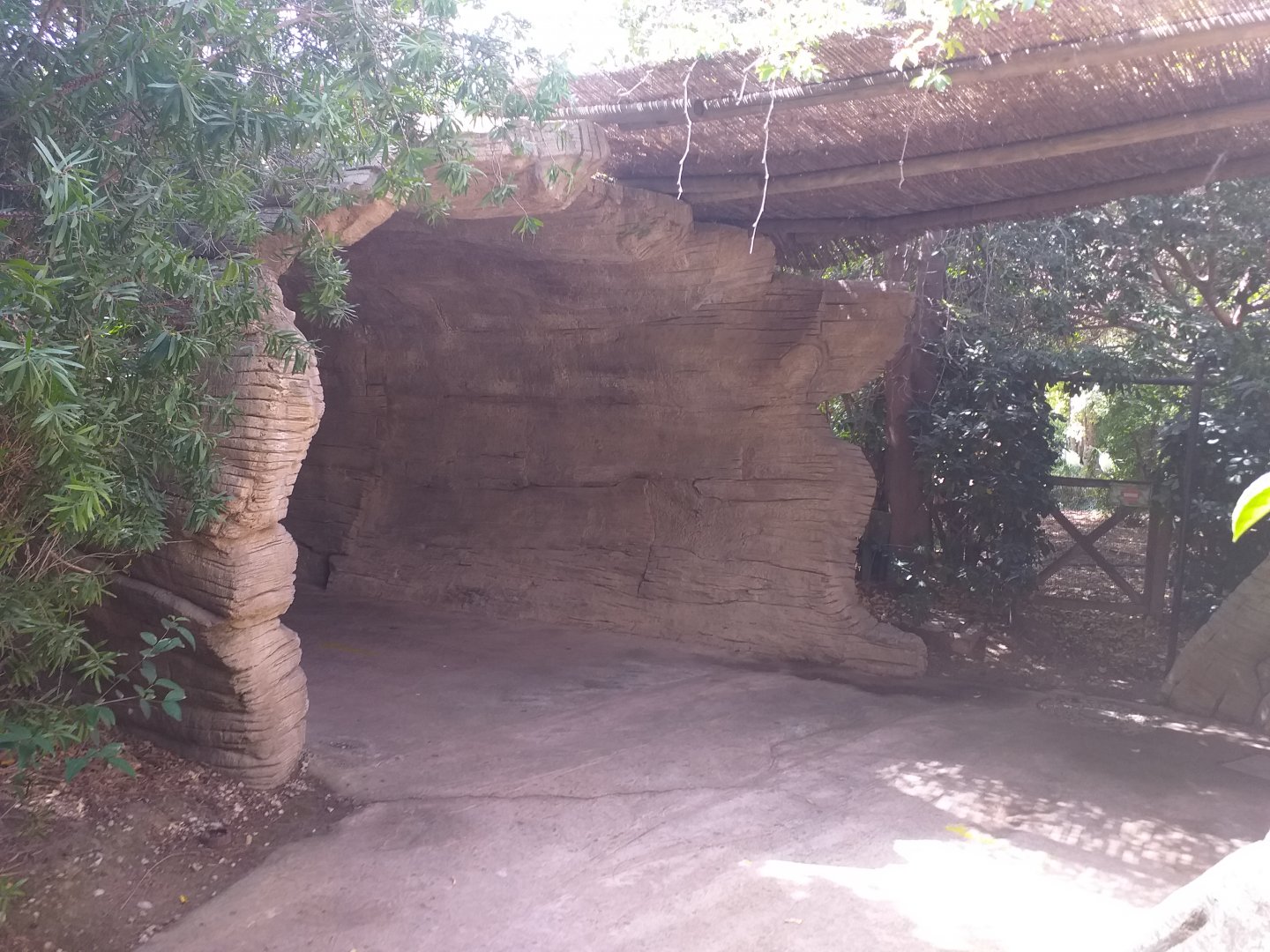 Fallen log -TerraNatura Benidorm (2021)