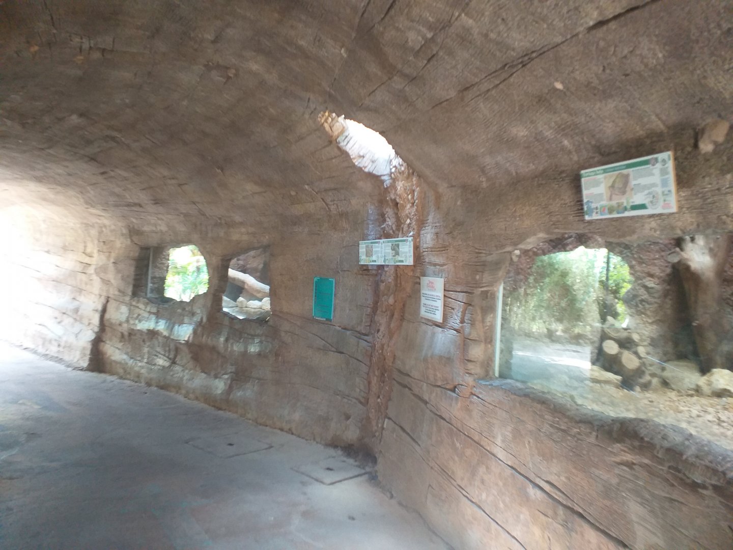 Fallen log view -TerraNatura Benidorm (2021)