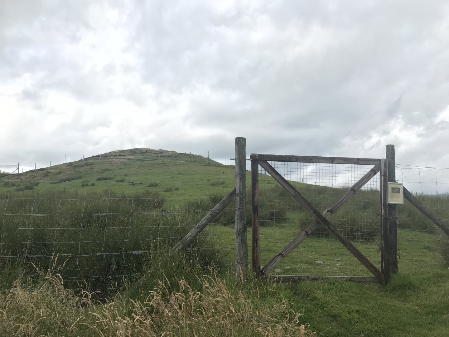 Fallow deer and sheep enclosure (2)