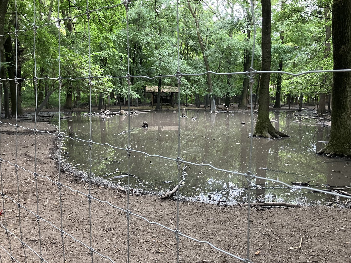 Fallow deer and white stork enclosure