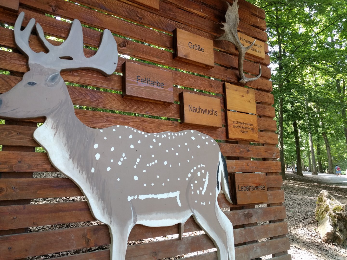 Fallow Deer Education Signage