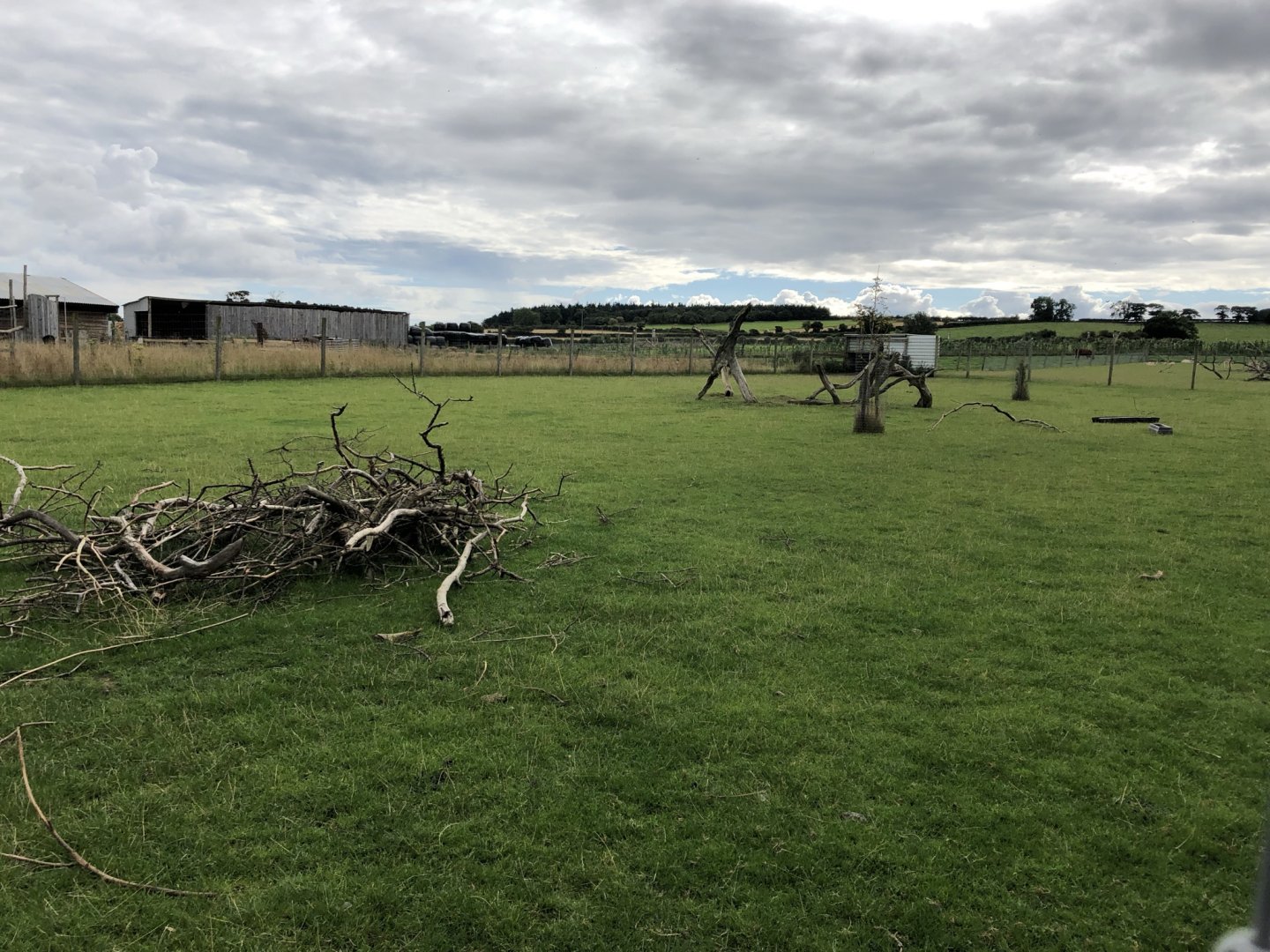 Fallow Deer Enclosure at Northumberland Country Zoo (September 2021)