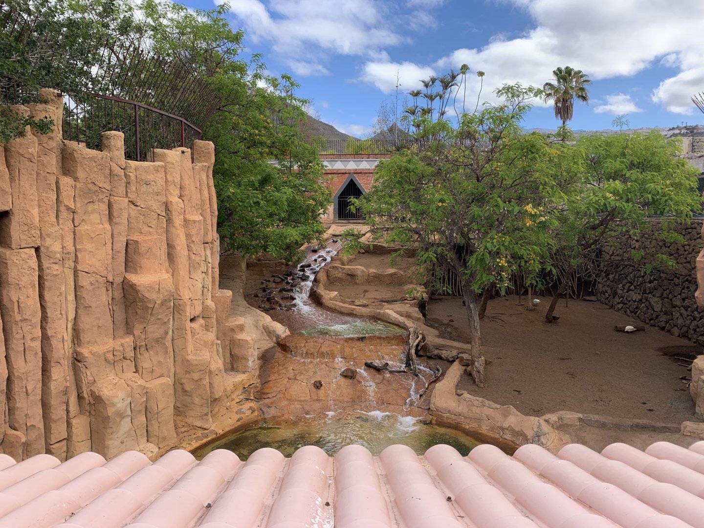Fallow Deer enclosure - repurposed Tiger exhibit