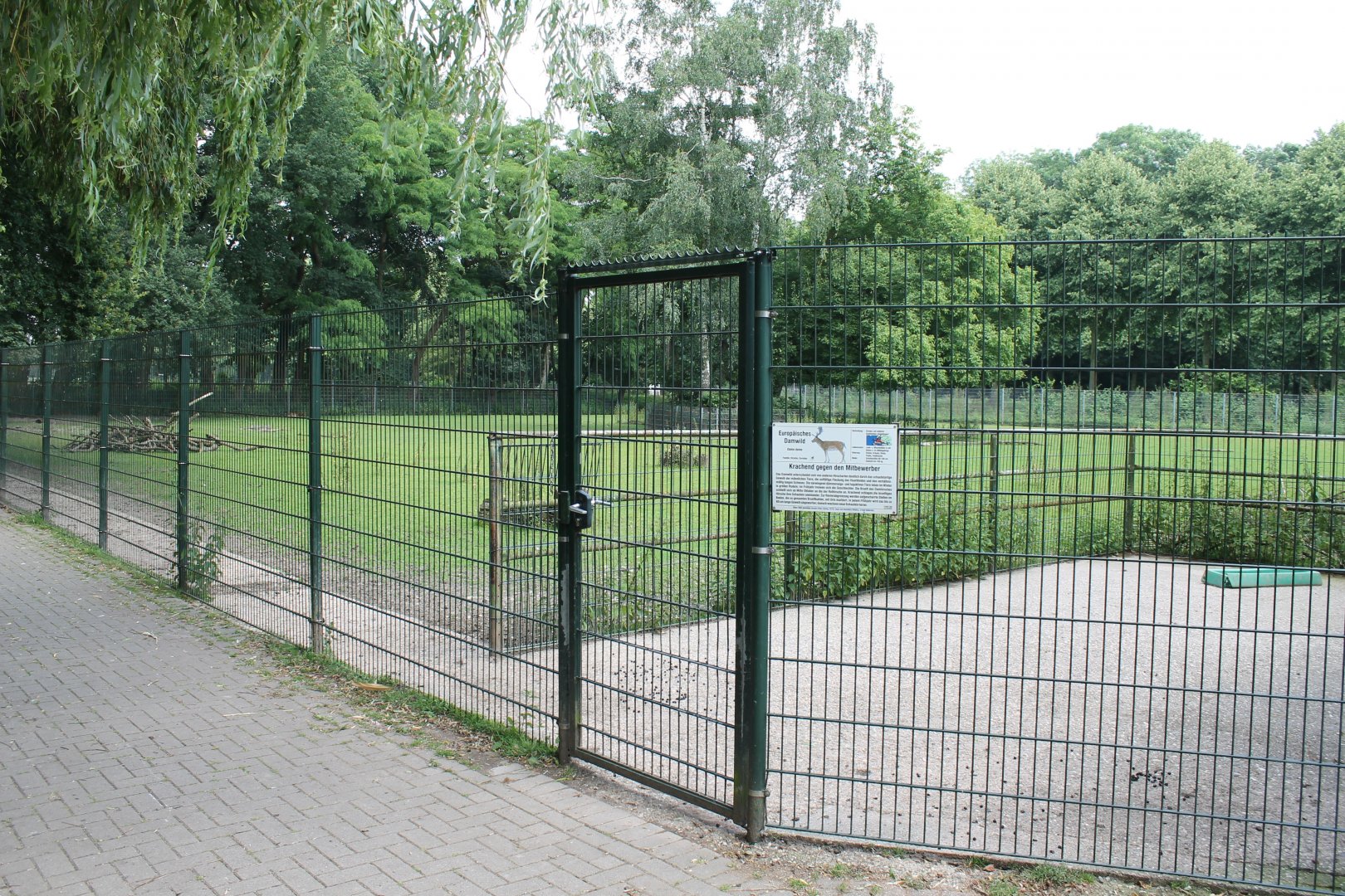 Fallow deer enclosure