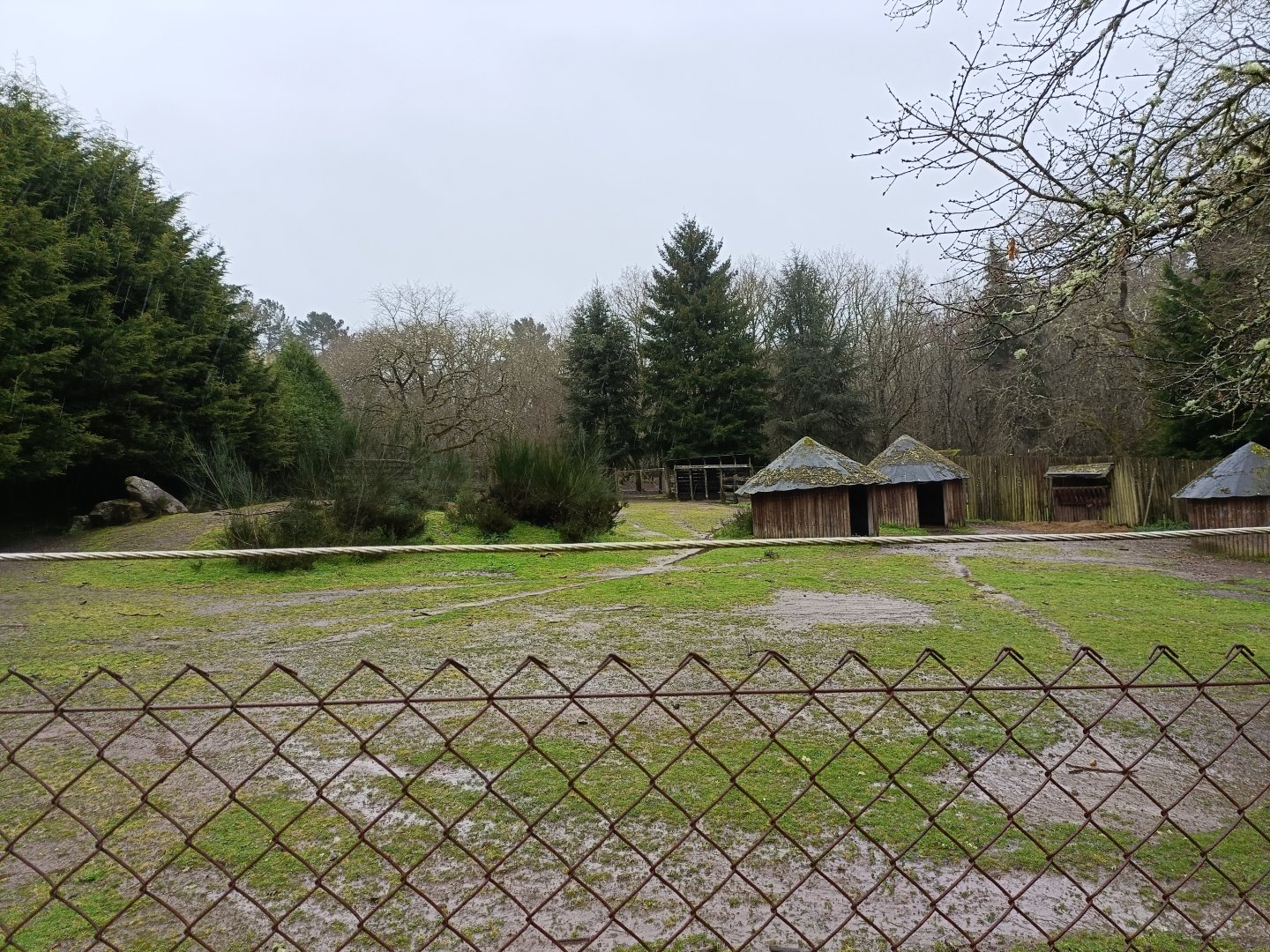 Fallow deer exhibit -Marcelle Naturaleza