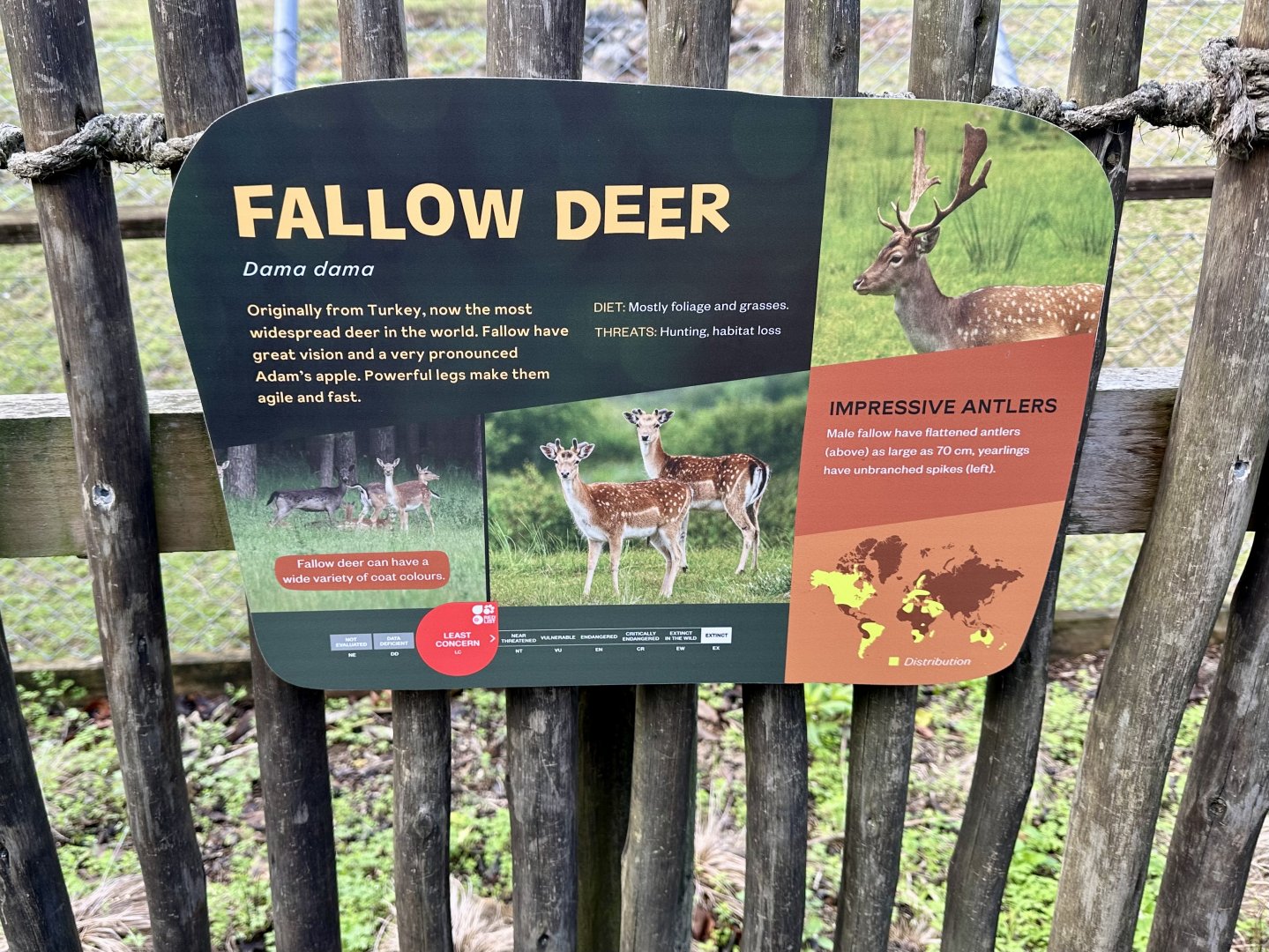 Fallow Deer Signage