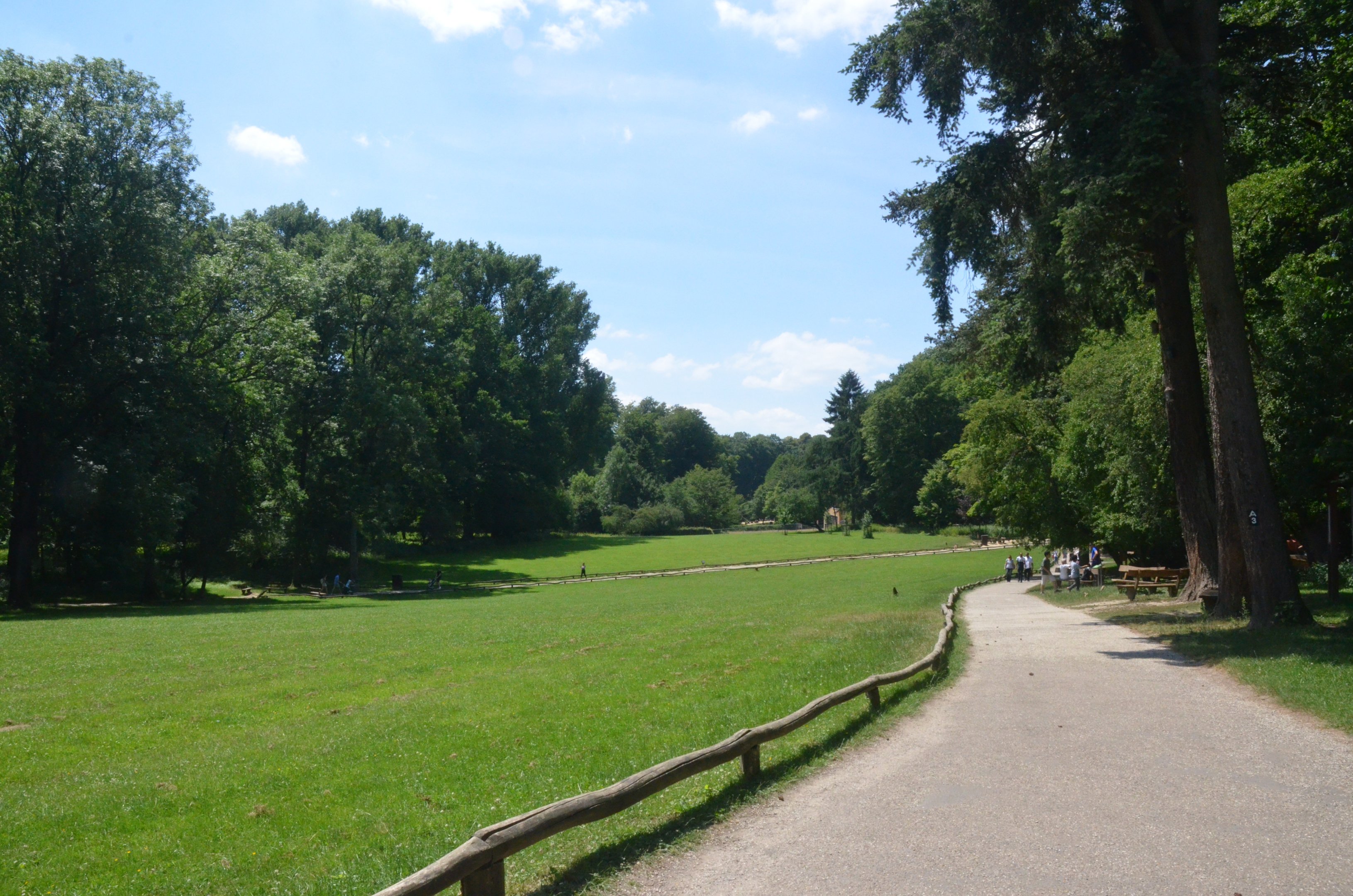 Fallow Deer Walkthrough at Wildpark Grafenberger Wald, 23/06/2019