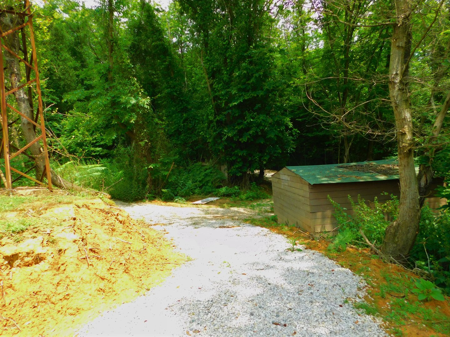 Fallow Deer Walkthrough Enclosure