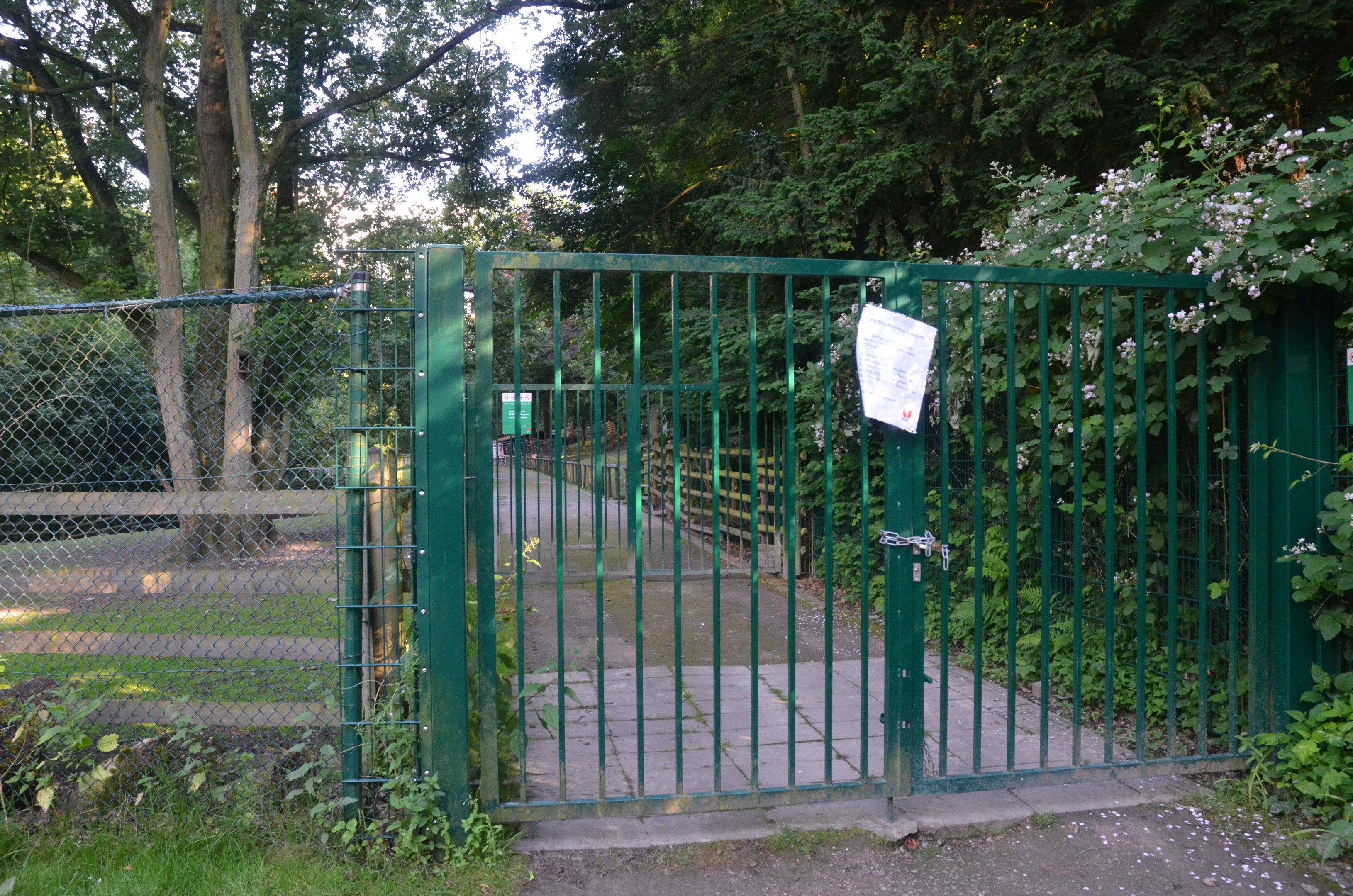 Fallow Deer Walkthrough (Temporarily Closed) at Grugapark, 17/06/19