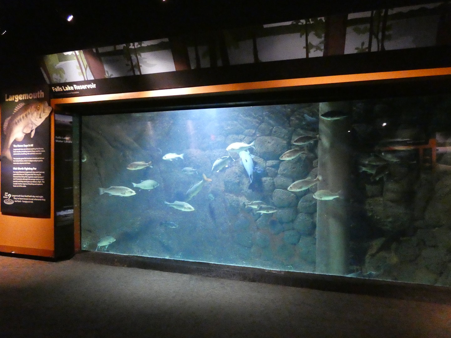 Falls Lake Reservoir