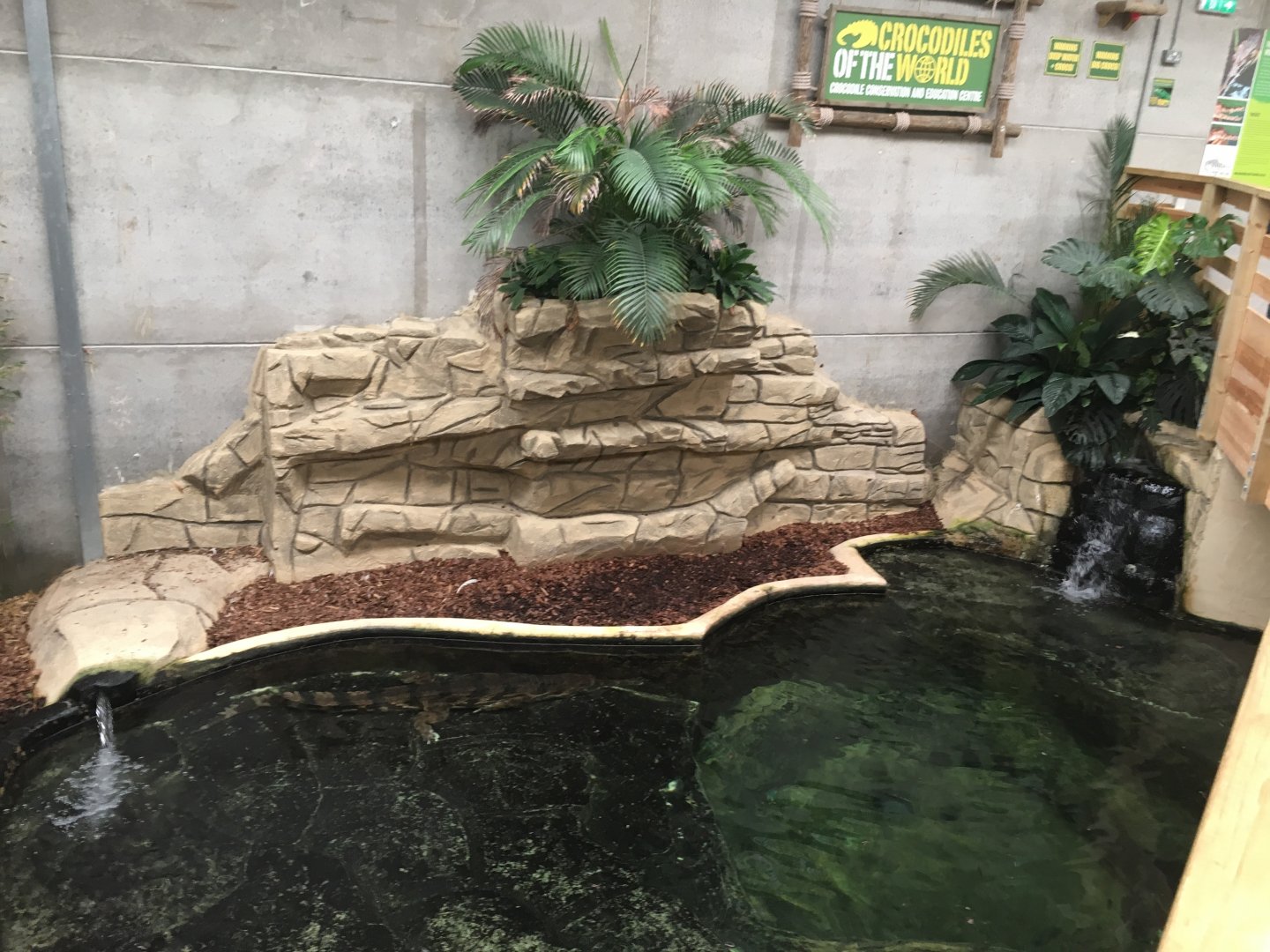 False gharial enclosure 100917