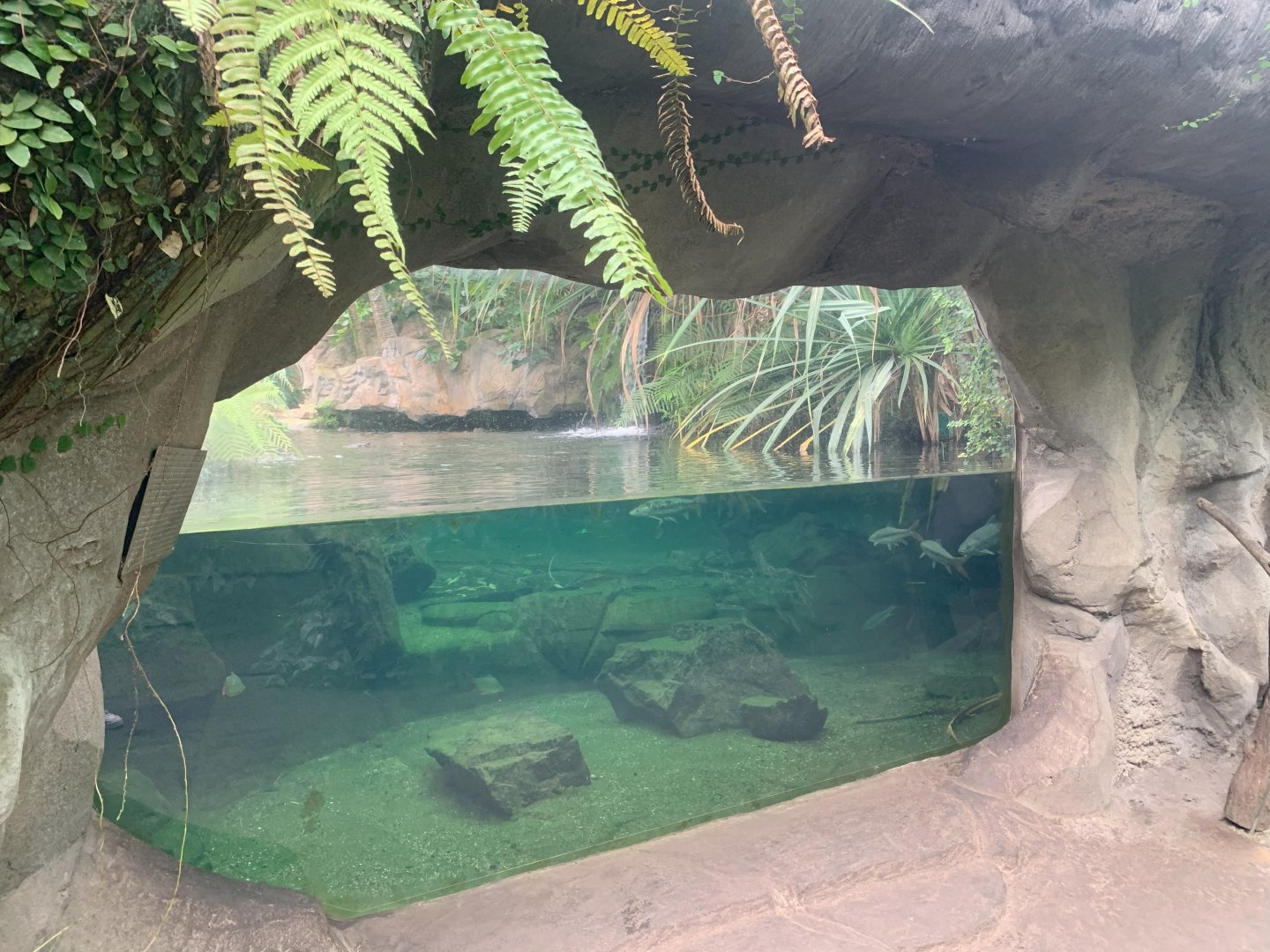 False Gharial enclosure - Gondwanaland