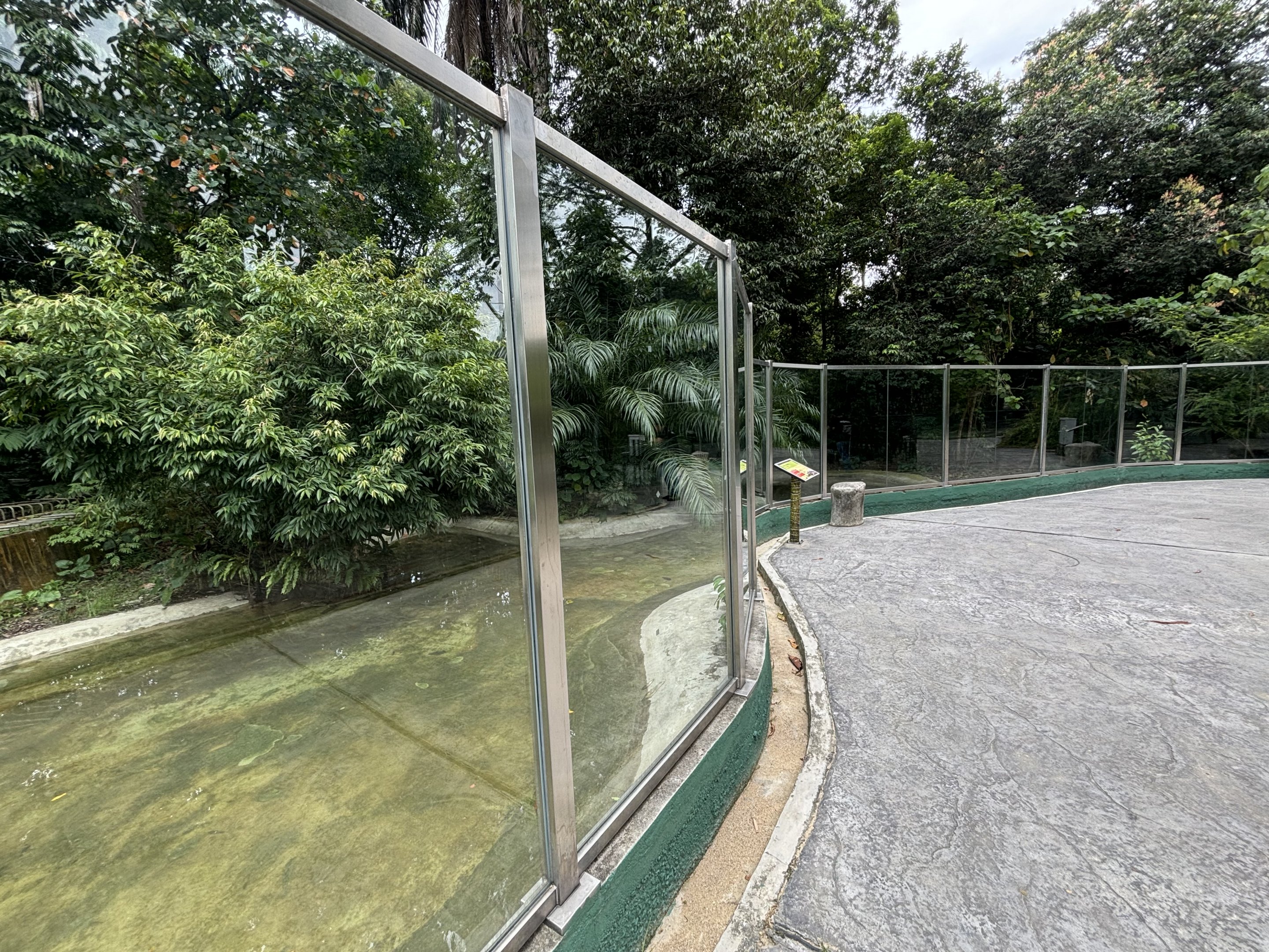 False Gharial Exhibit #1