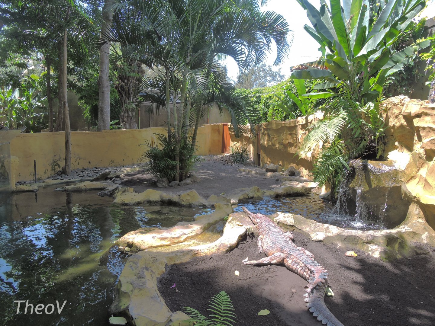 False gharial exhibit [2016]