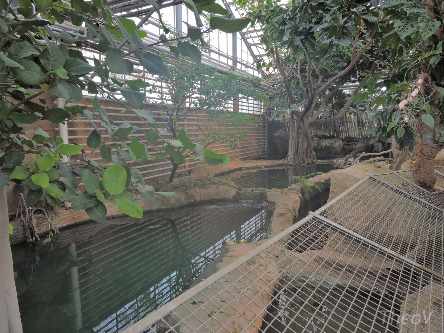 False gharial exhibit [2016]