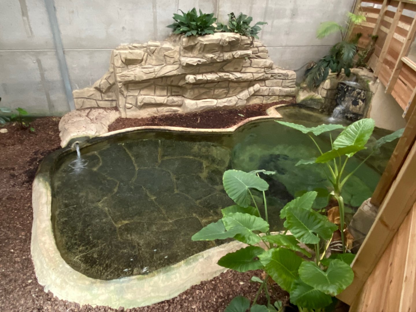 False gharial exhibit 231119