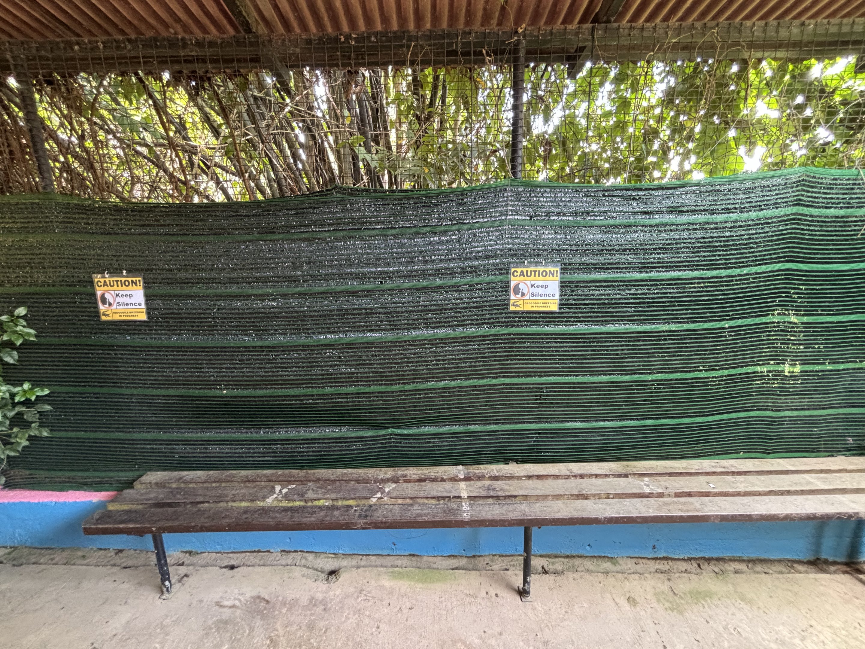 False Gharial Exhibit - closed for breeding