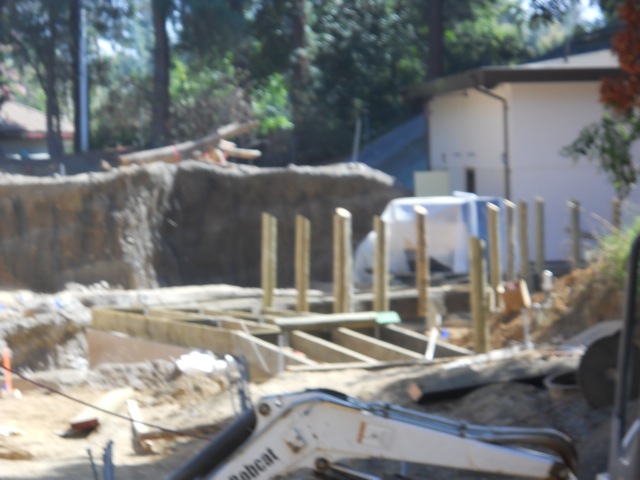 False gharial exhibit construction October 2011
