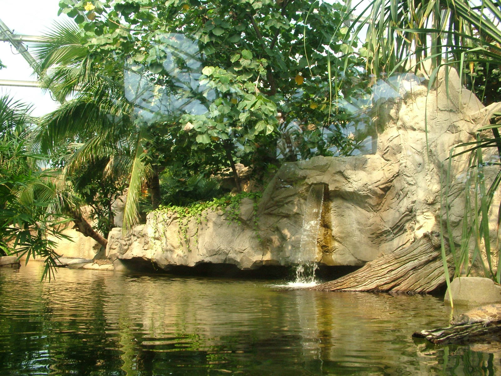 False Gharial Exhibit - Gondwanaland, Leipzig, 02/09/11