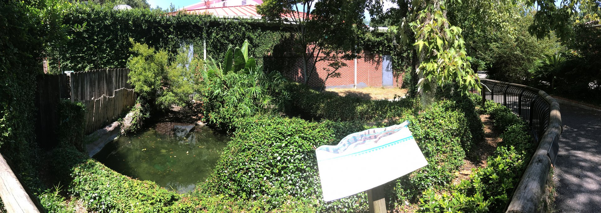 False Gharial Exhibit Left Side