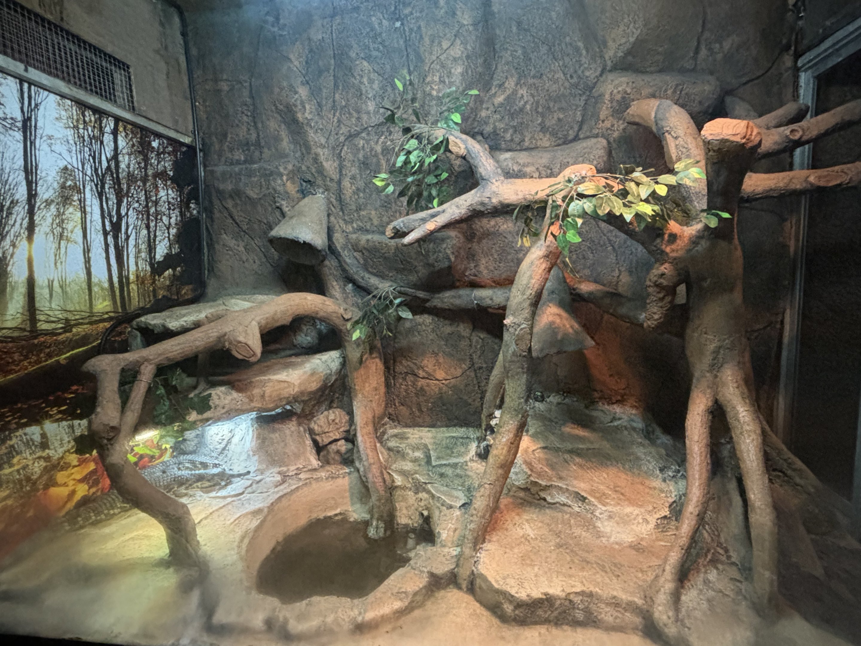 False Gharial Exhibit - Reptile Tunnel