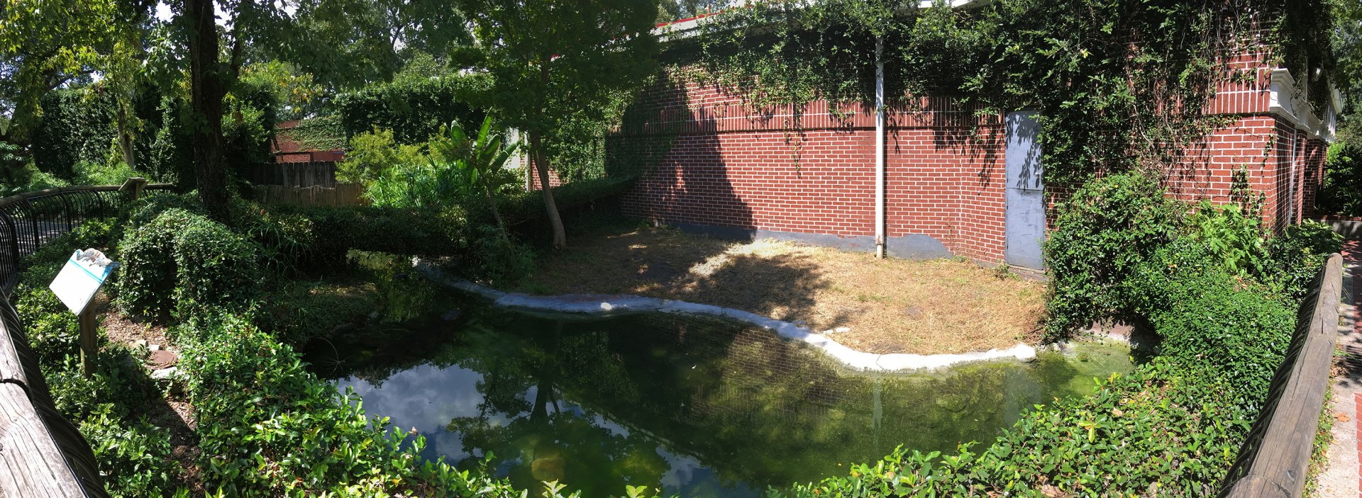 False Gharial Exhibit Right Side