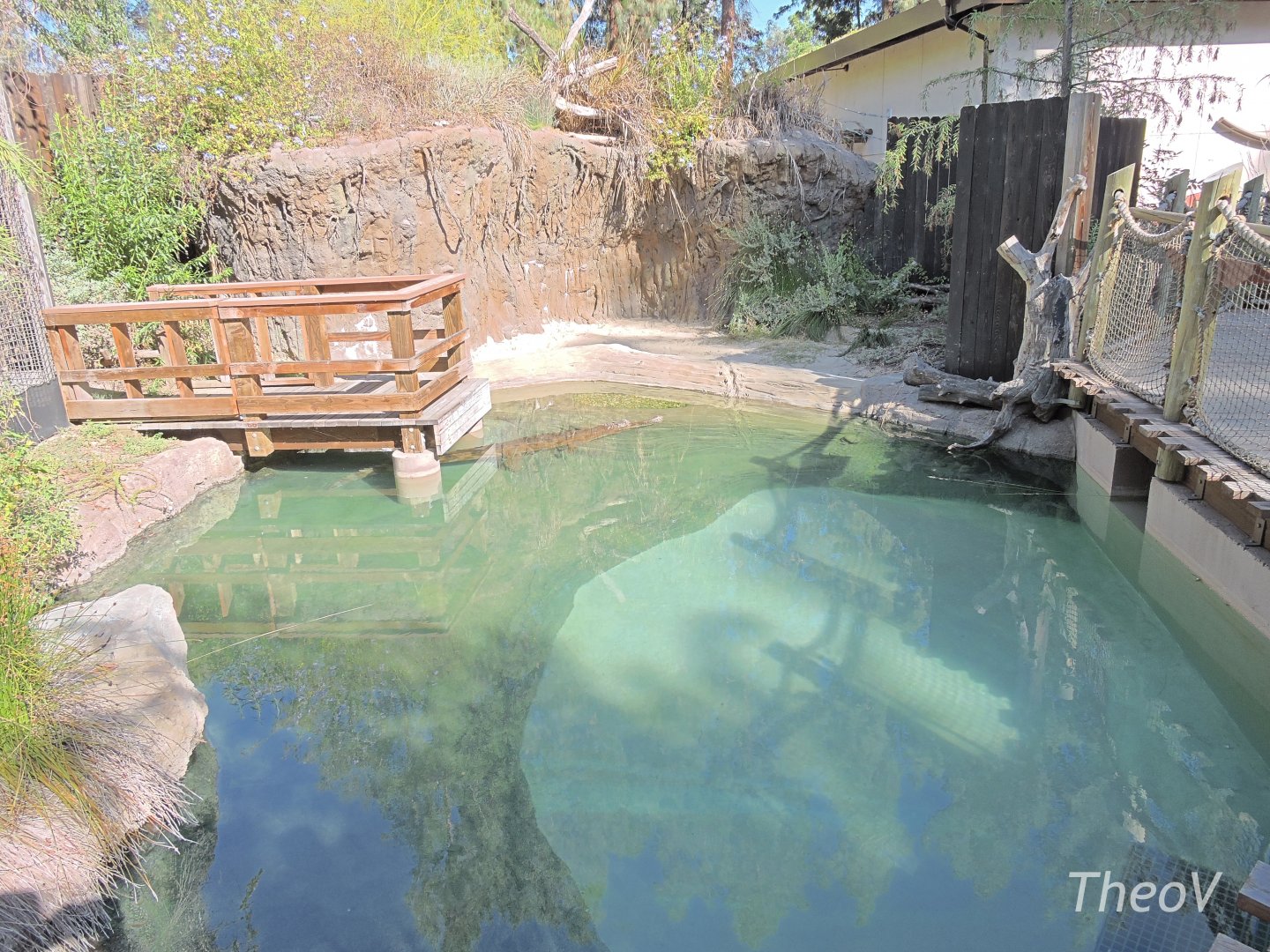 False gharial exhibit - The L.A.I.R. [2015]