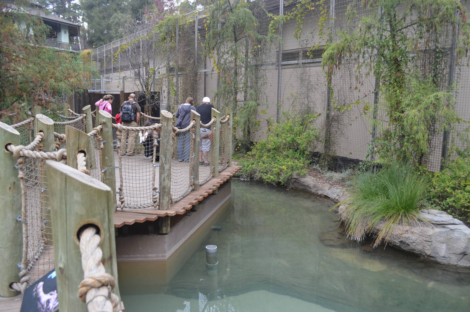 False Gharial Exhibit
