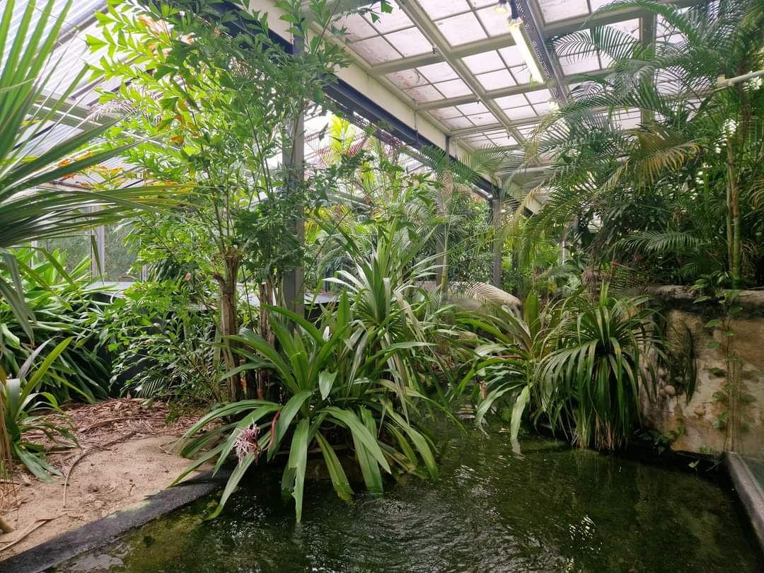 False gharial exhibit