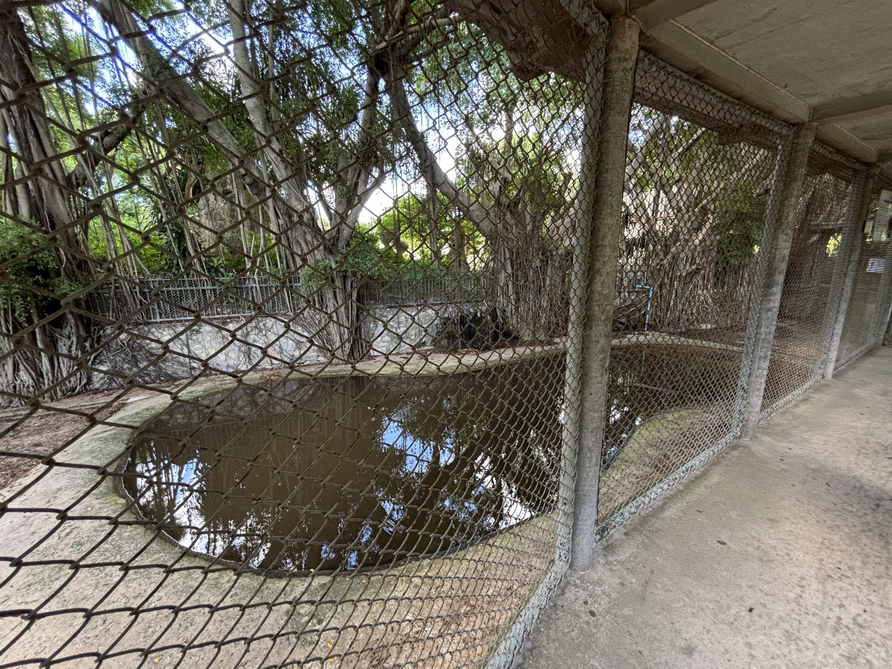 False Gharial Exhibit