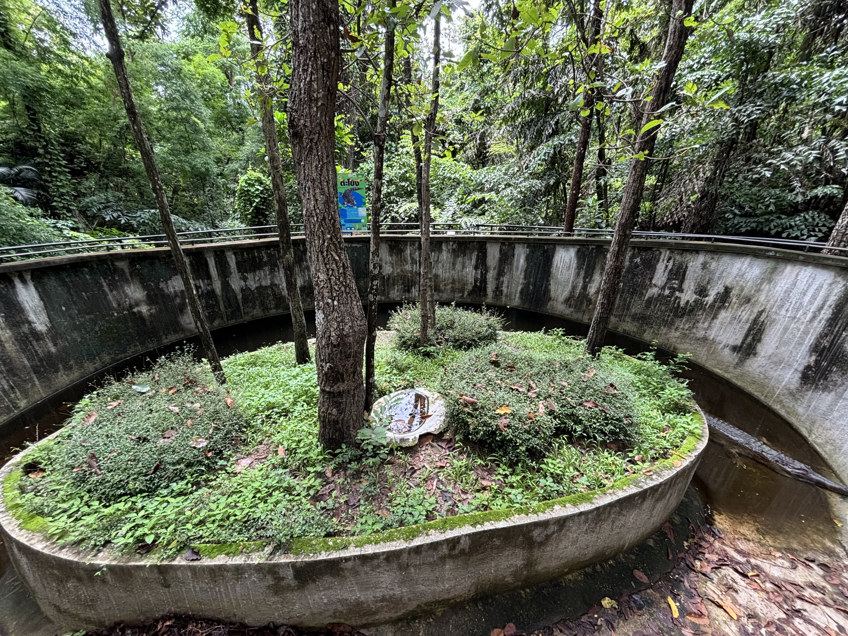 False Gharial Exhibit