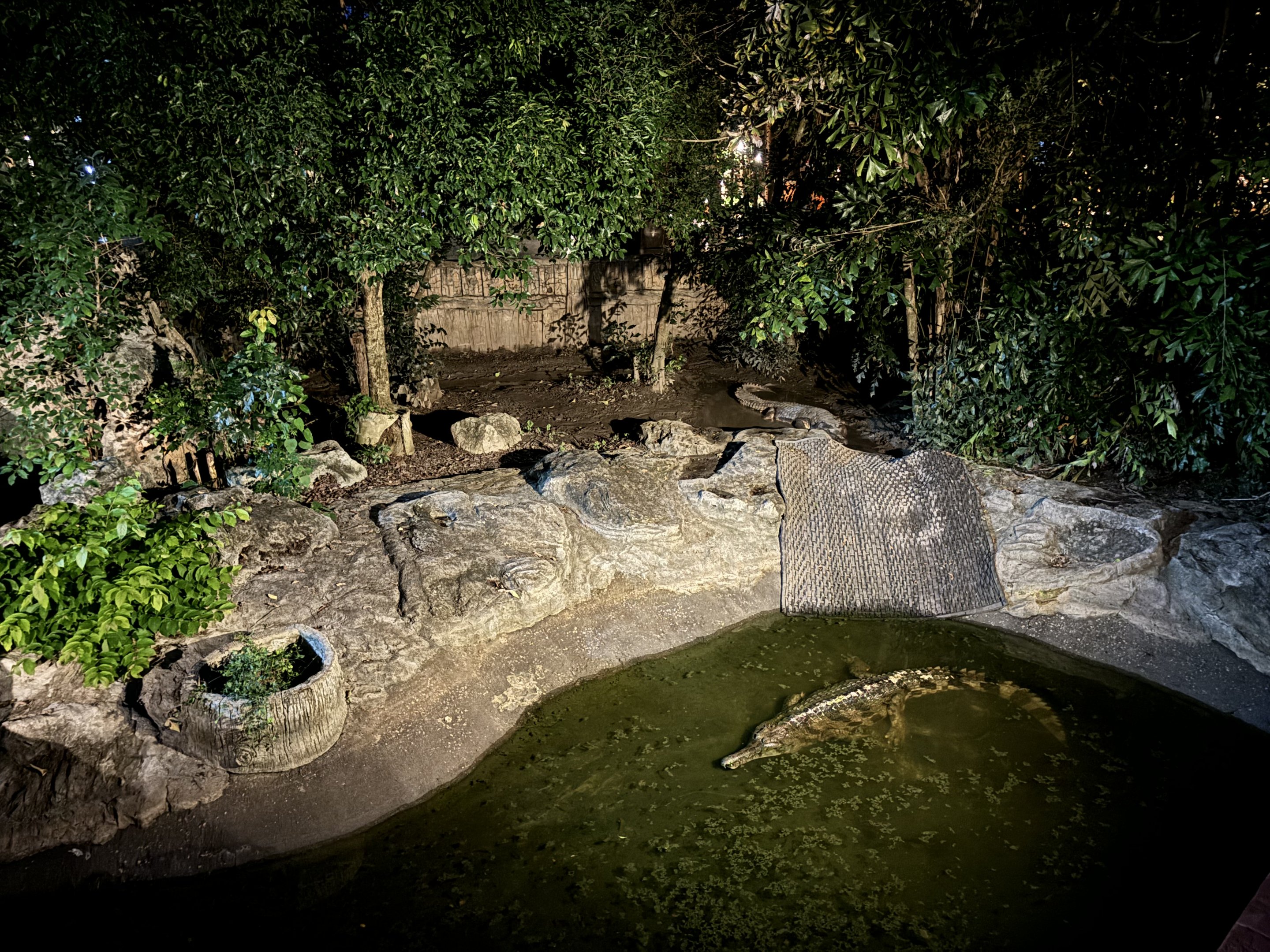 False Gharial Exhibit