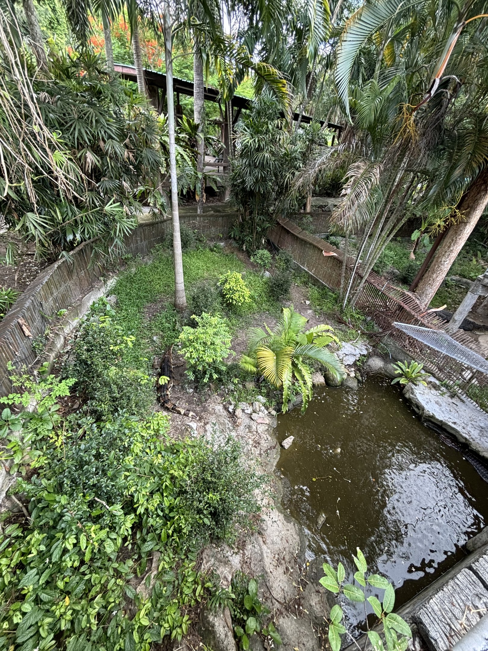 False Gharial Exhibit