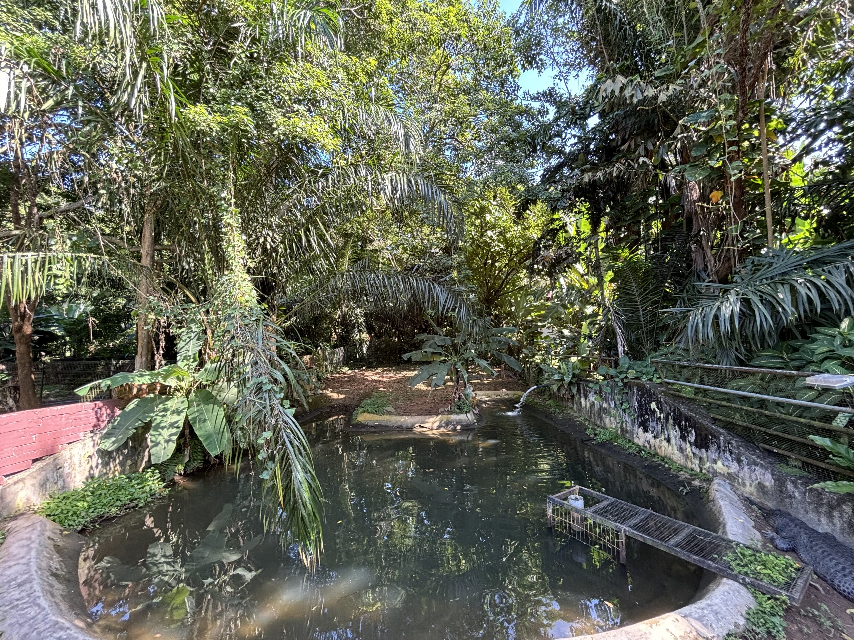 False Gharial Exhibit