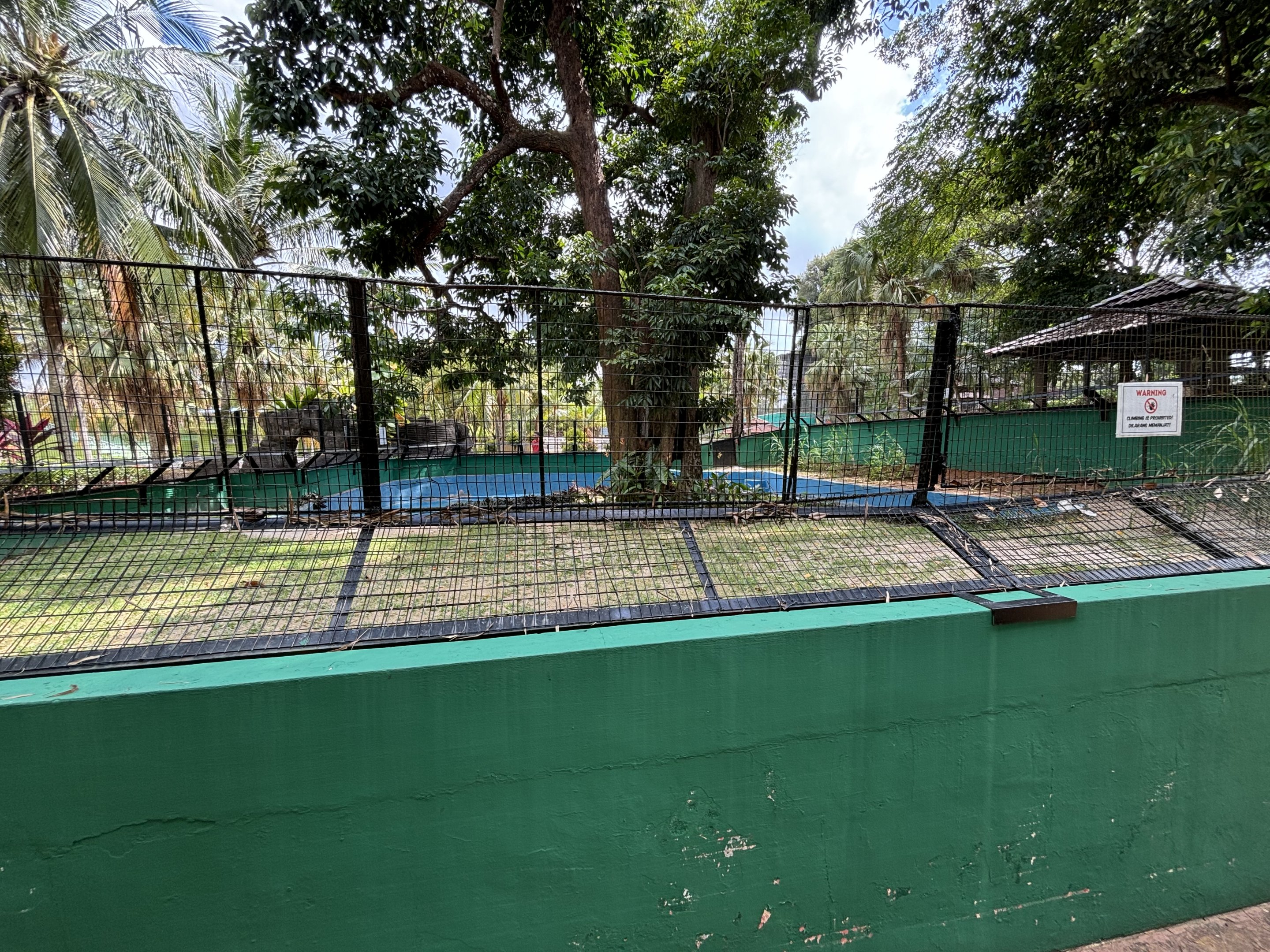 False Gharial Exhibit