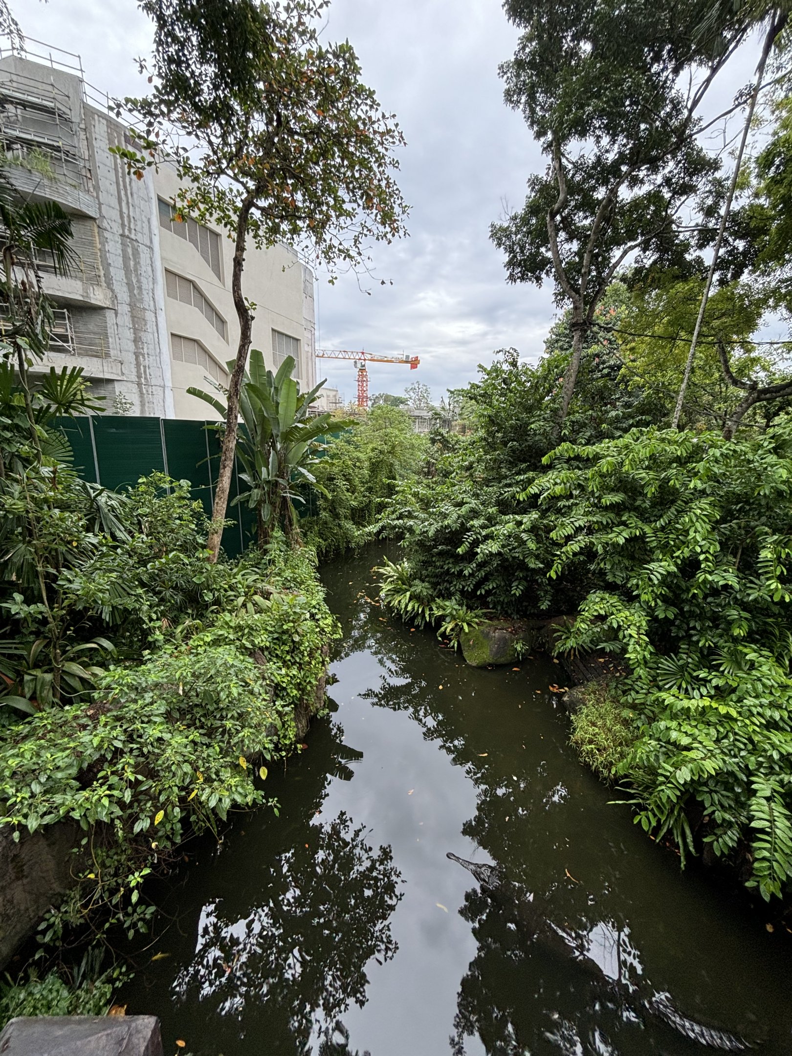 False Gharial Exhibit
