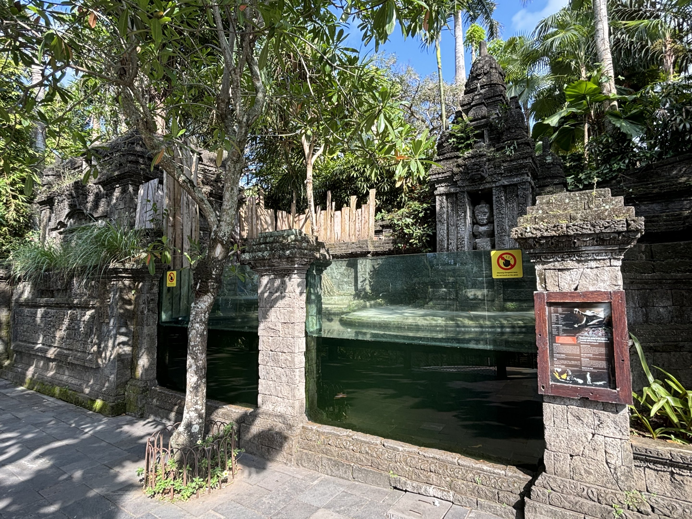 False Gharial Exhibit