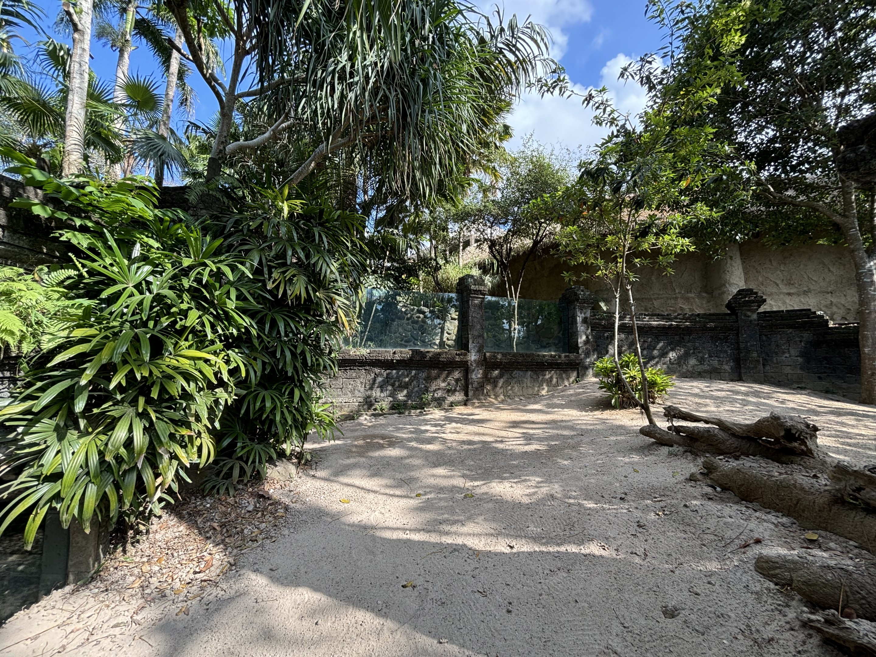 False Gharial Exhibit