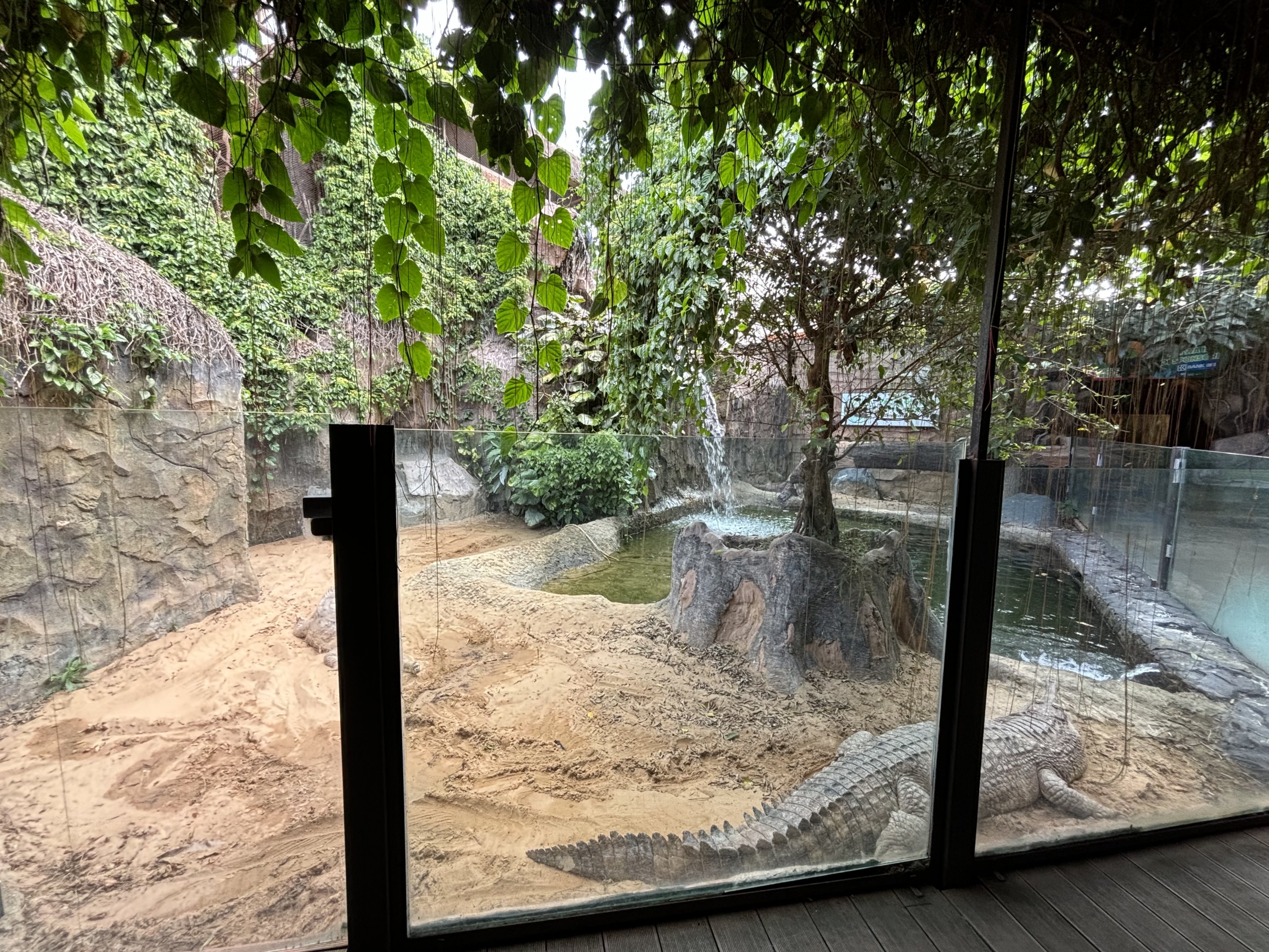 False Gharial Exhibit