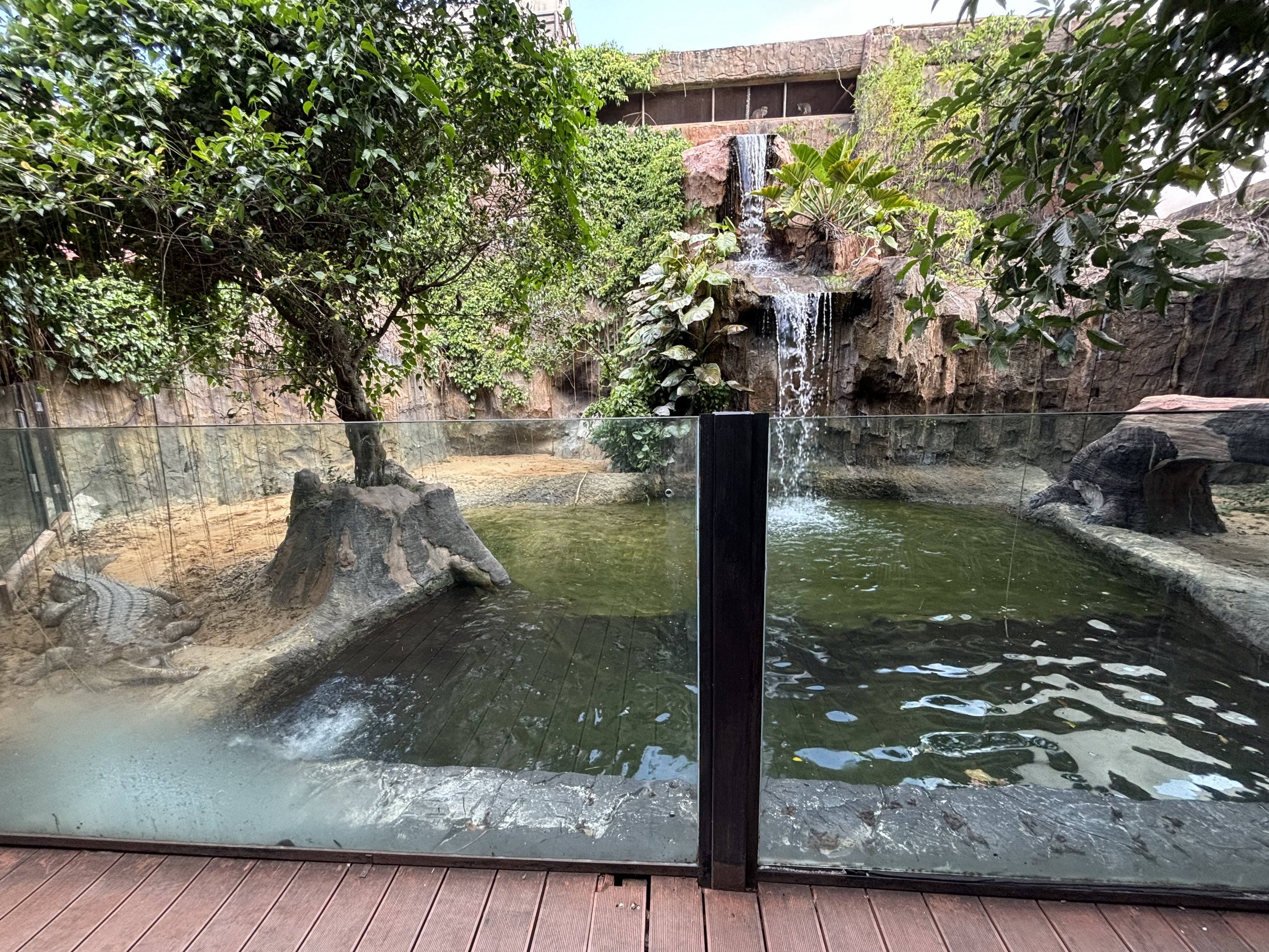 False Gharial Exhibit