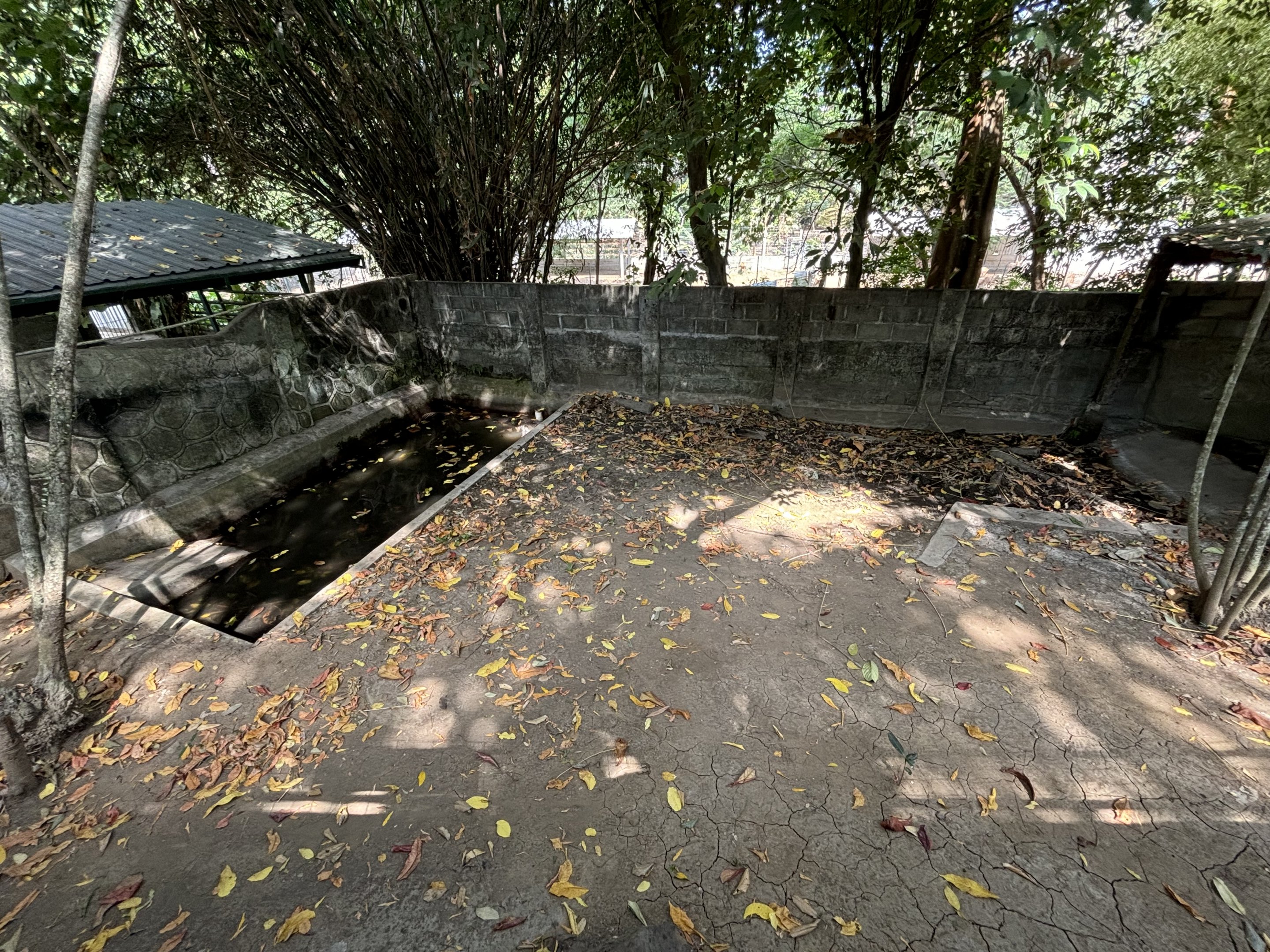 False Gharial Exhibit