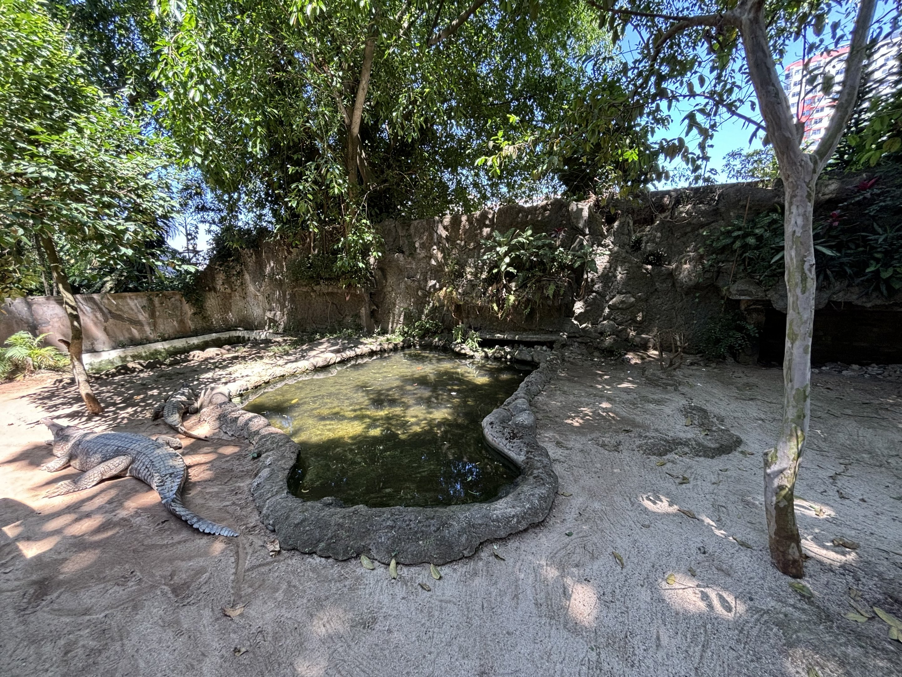 False Gharial Exhibit