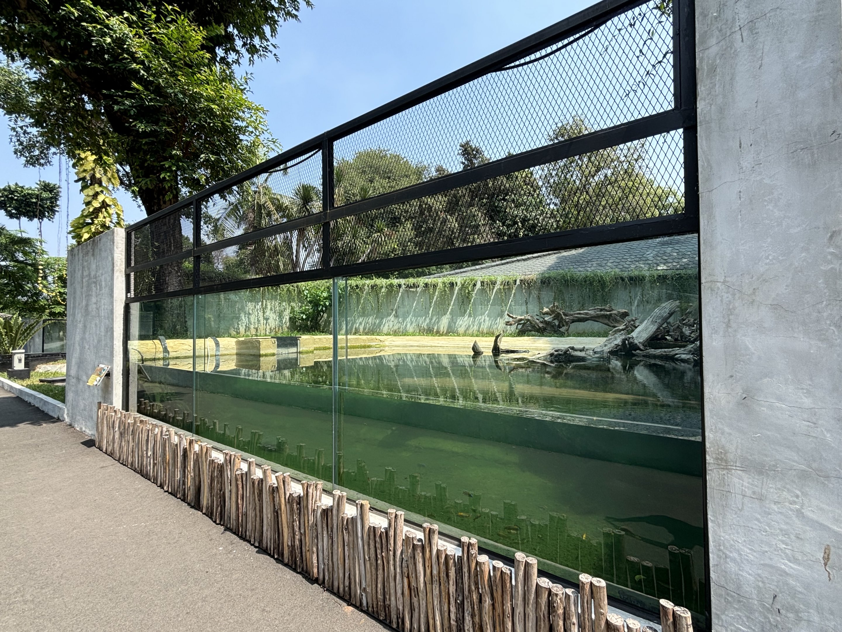 False Gharial Exhibit