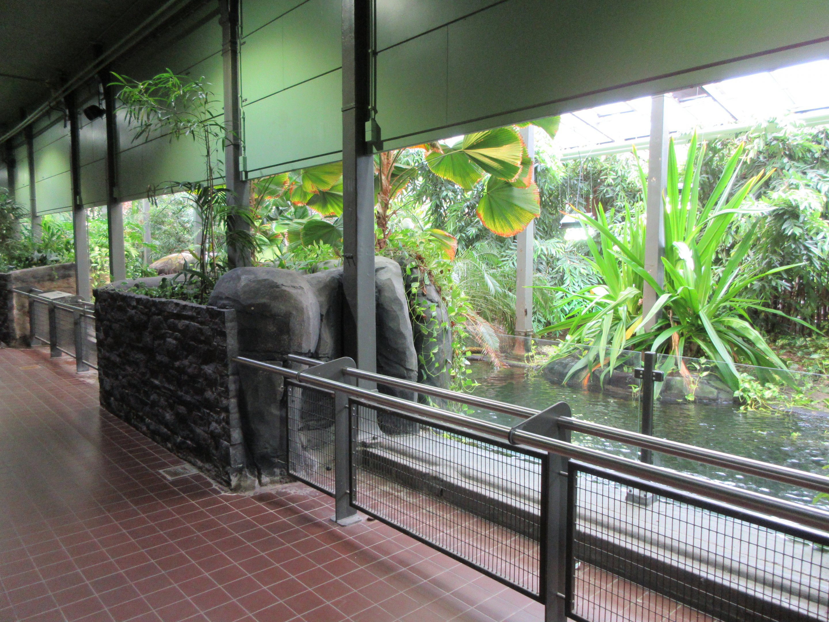 False Gharial Exhibits (male and female were separated)