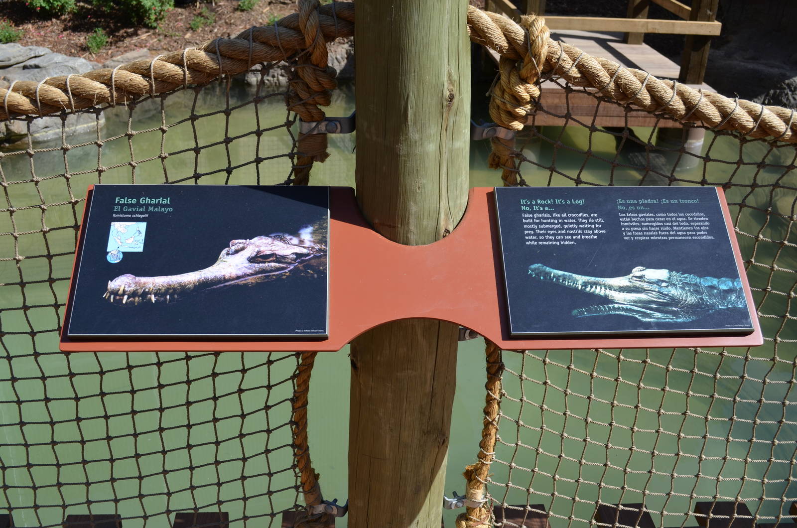 FALSE GHARIAL SIGNAGE - CROCODILE CREEK