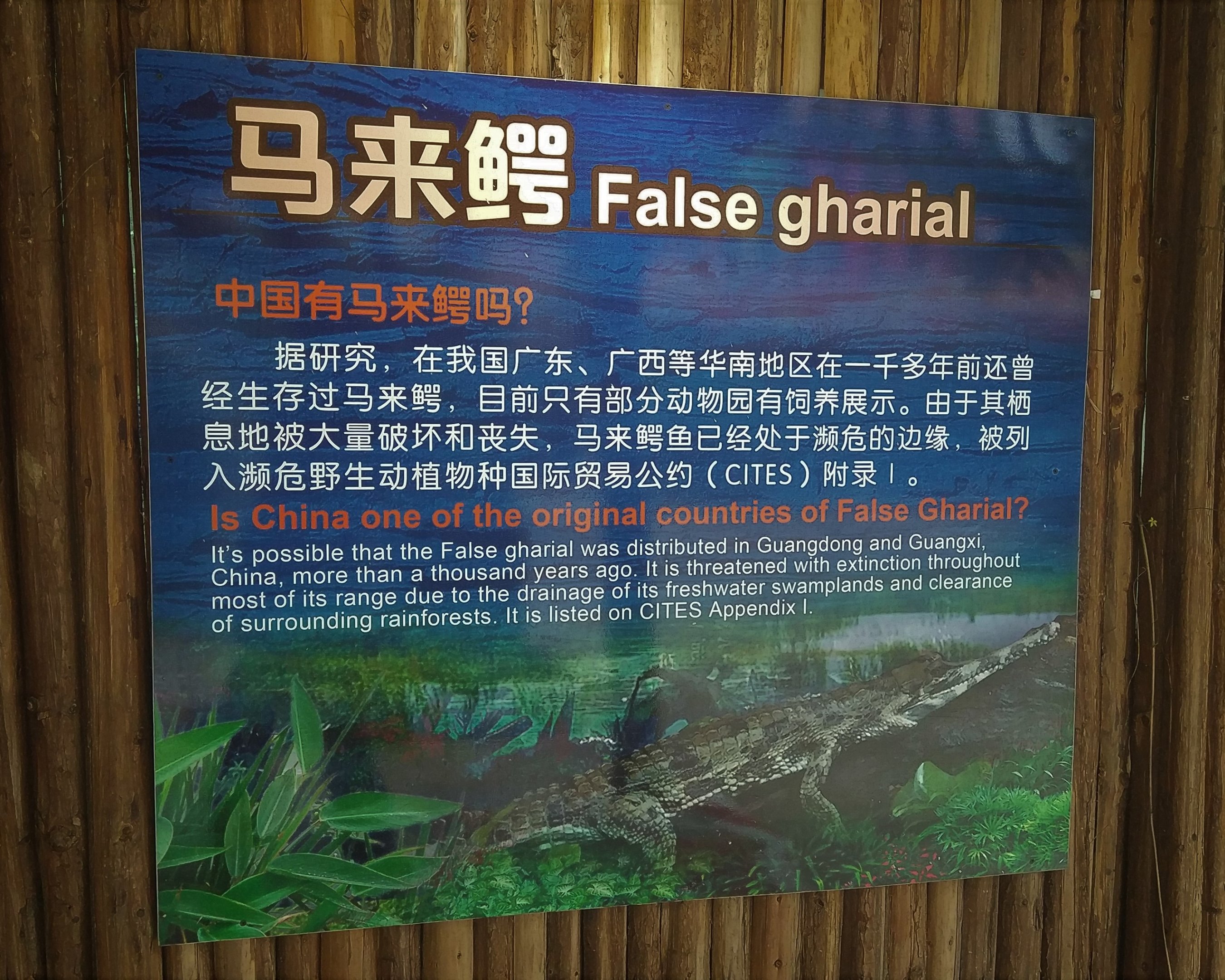 False Gharial Signage