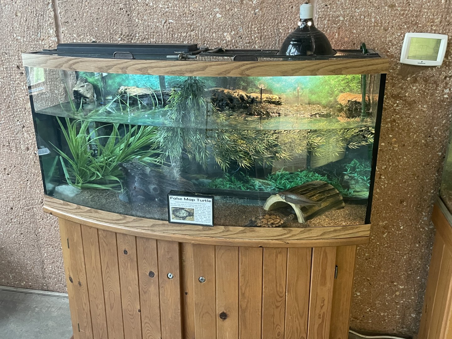False Map Turtle Tank