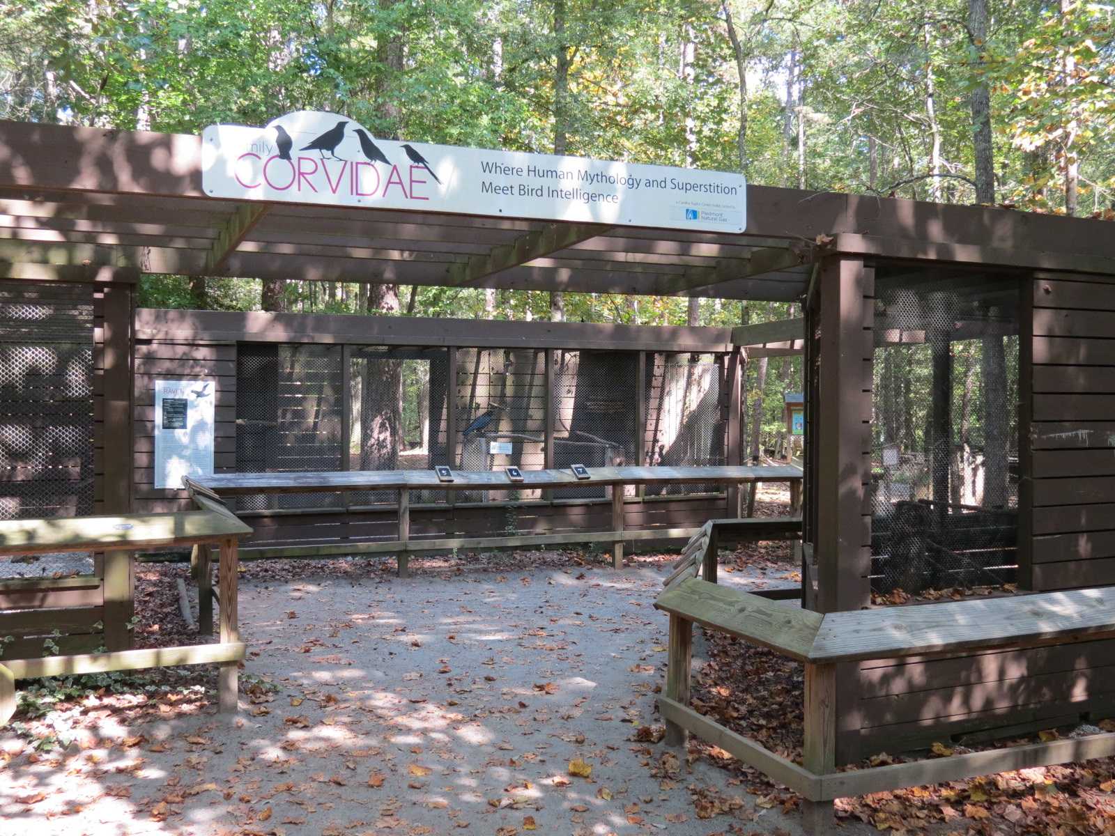 Family Corvidae Exhibits Entrance