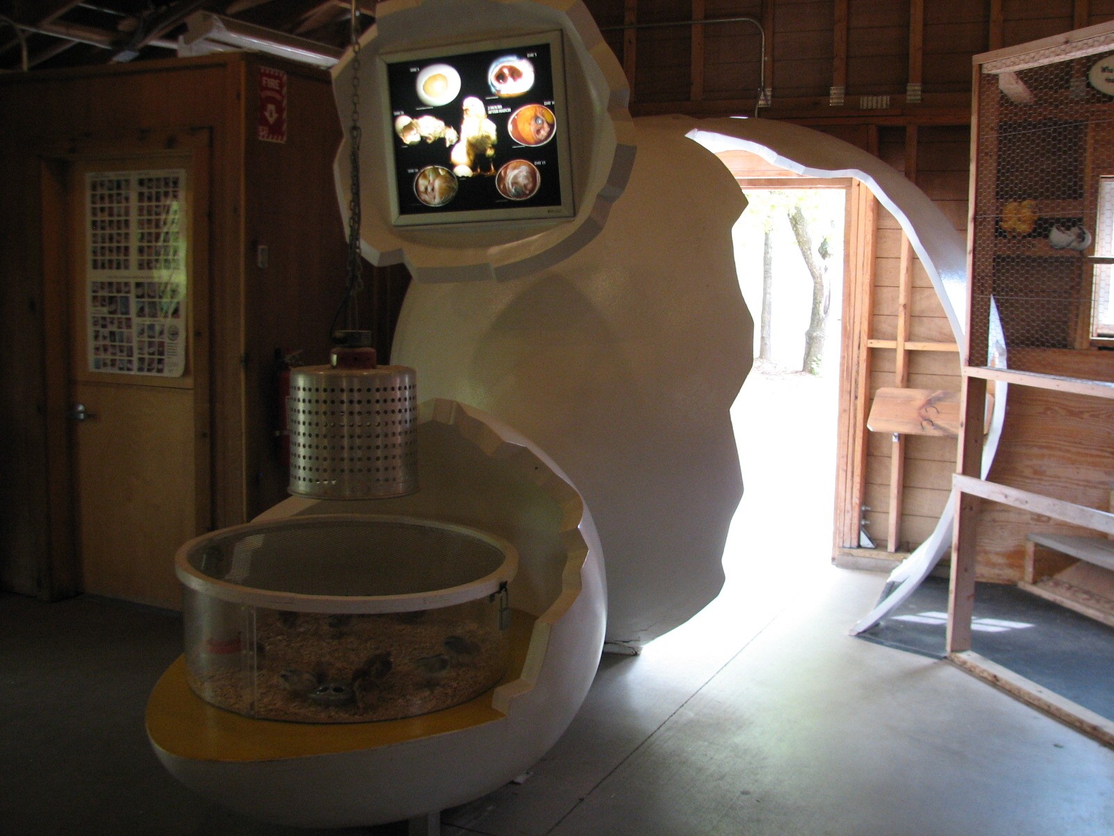 Family Farm - Chicken Barn Display
